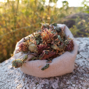 koniczyna łąkowa kwiat 25g