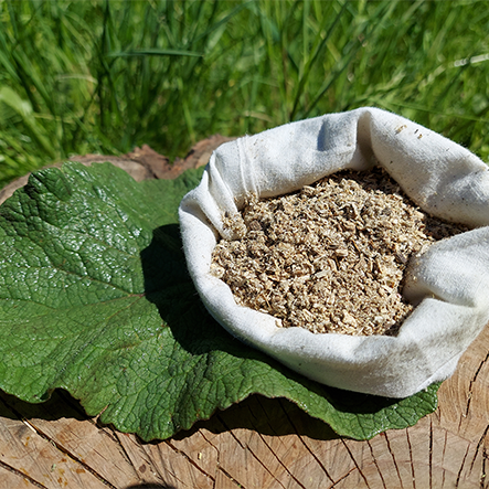 Łopian większy korzeń 50g Łopian większy korzeń 50g