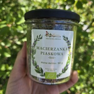 macierzanka piaskowa liść 30g (słoik)