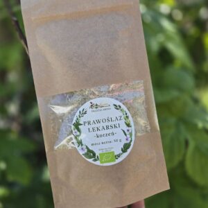 prawoślaz lekarski korzeń 50g