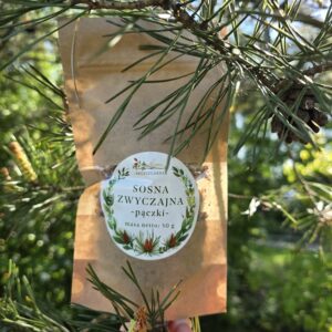 sosna zwyczajna pączki 50g
