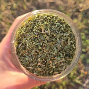 kolendra liść 20g (słoik)