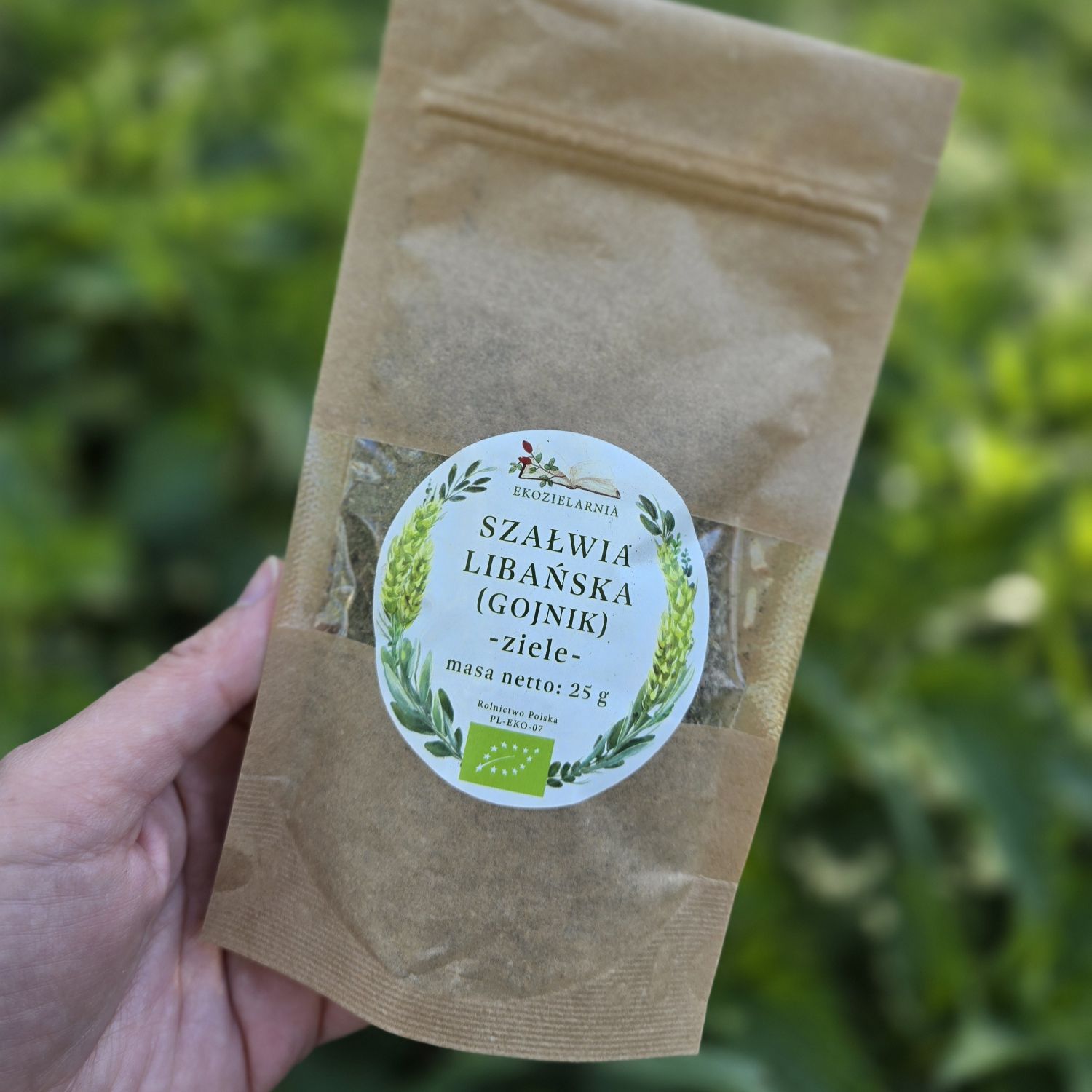 szałwia libańska (gojnik) ziele 25g szałwia libańska (gojnik) ziele 25g